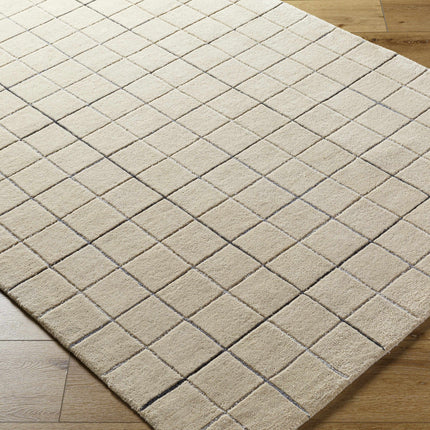 Toshi Beige Area Rug Rugs TriadCommerceInc