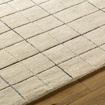 Toshi Beige Area Rug Rugs TriadCommerceInc