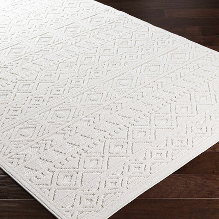 Treuddyn 3D Outdoor Area Rug Rugs TriadCommerceInc