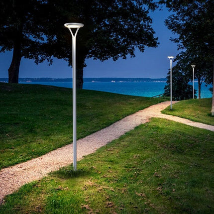 Aurora Pro Outdoor Pole-Mounted Dusk to Dawn Solar Light Home Decor > Lighting > Outdoor Lighting TriadCommerceInc