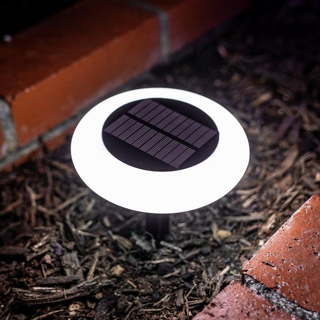 Multicolor RGB Garden Solar Lights Dusk to Dawn Super Bright Home Decor > Lighting > Outdoor Lighting TriadCommerceInc