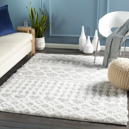 Vernonburg Shag Area Rug Rugs TriadCommerceInc