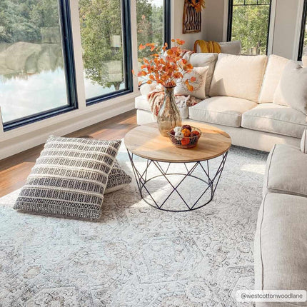 Parkerfield Area Rug Rugs TriadCommerceInc